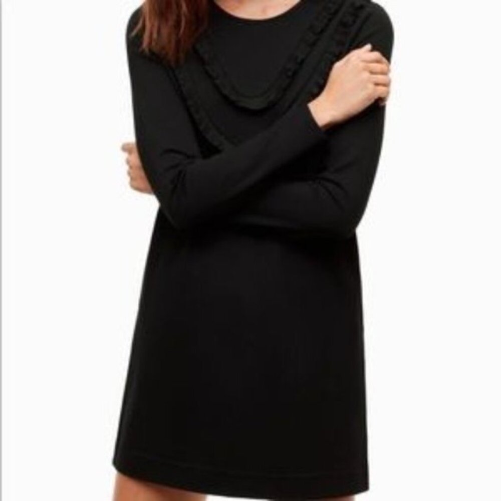 Aritzia Sunday Best Long Sleeve Ruffle Mini Dress XXS
